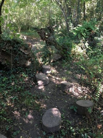 barefoot trail logs